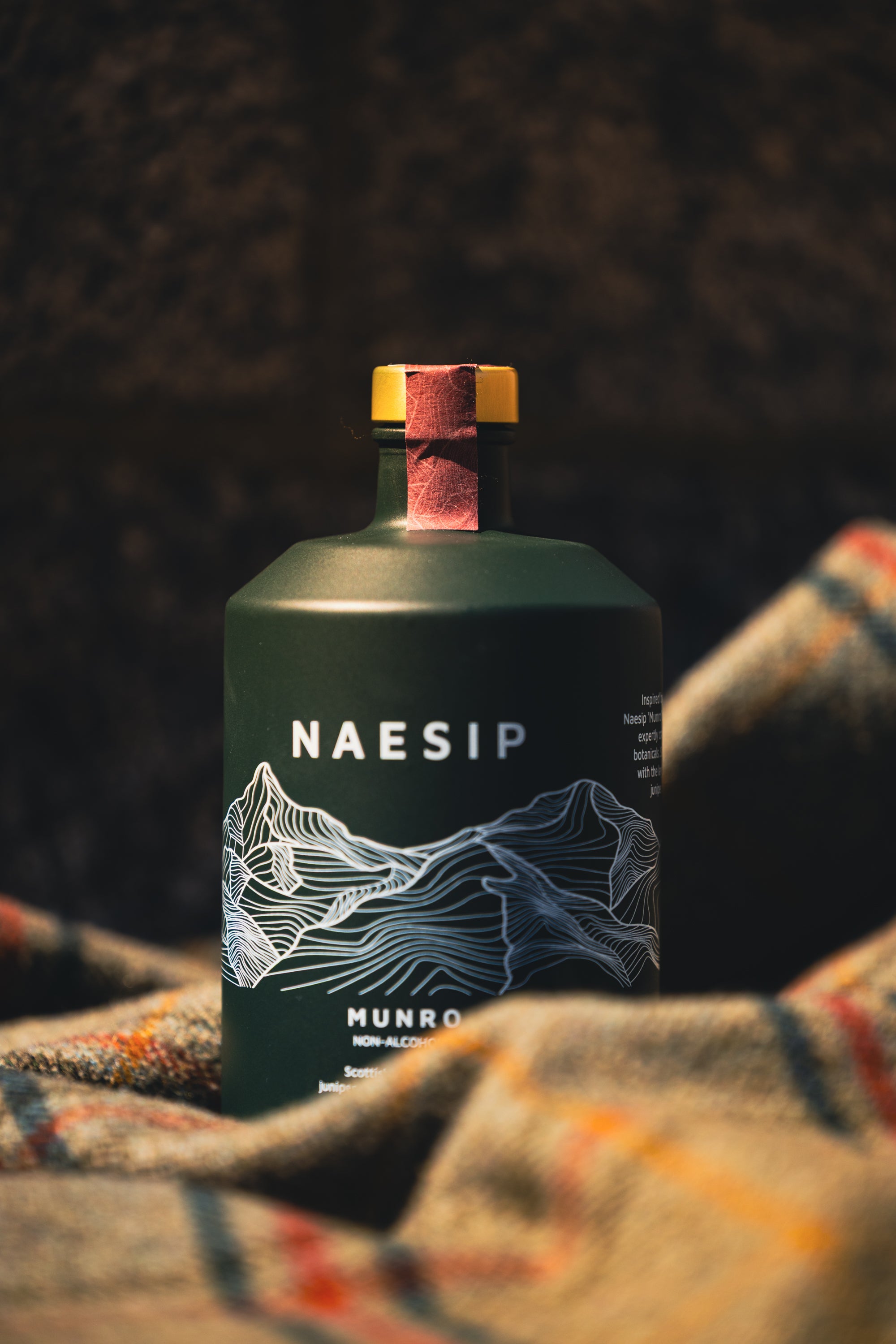 Naesip_-_Sneak_Peak-01.jpg
