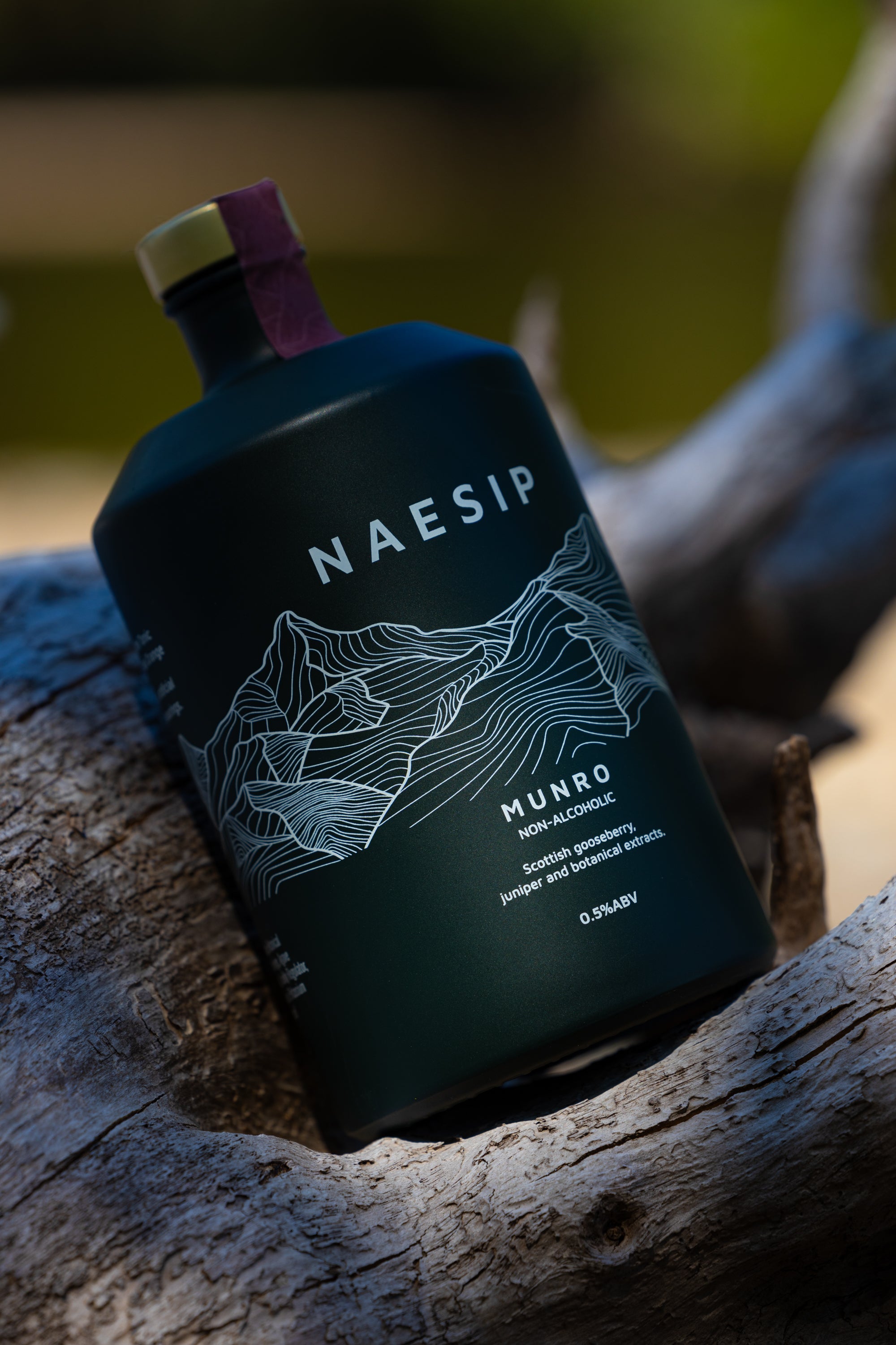 Naesip_-_Sneak_Peak-04.jpg
